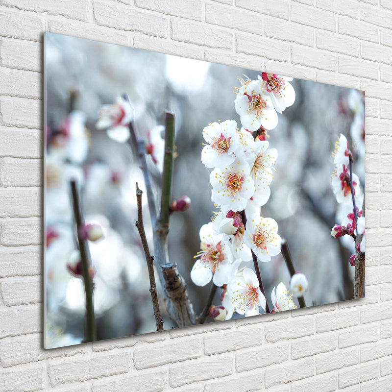 Cherry Blossoms - Unframed Art Prints on Glass
