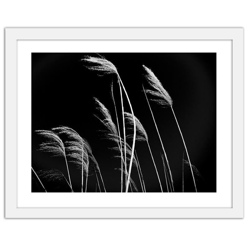 Gerahmter Fotodruck Grass In Black and White