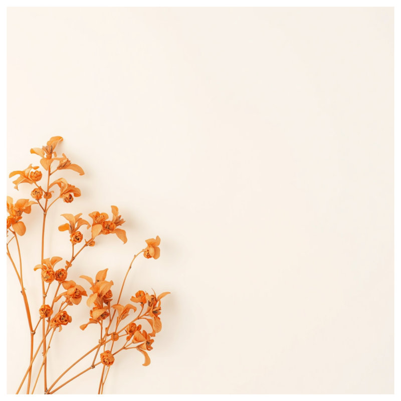 Tapis de bain fleurs séchées, 34in W x 21in L