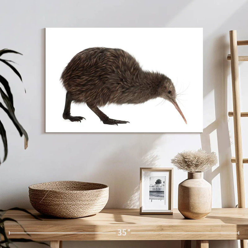 Kiwi Bird, 16" H x 24" W
