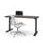 Adjustable Standing Desk-443380250-443380252