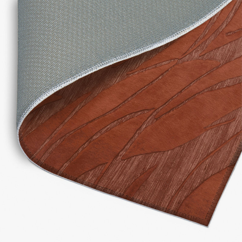 Tapis brun abstrait intérieur et extérieur, Rectangle 4pi x 6 pi