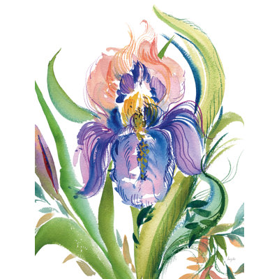 " Wild Iris " by Kristy Rice
