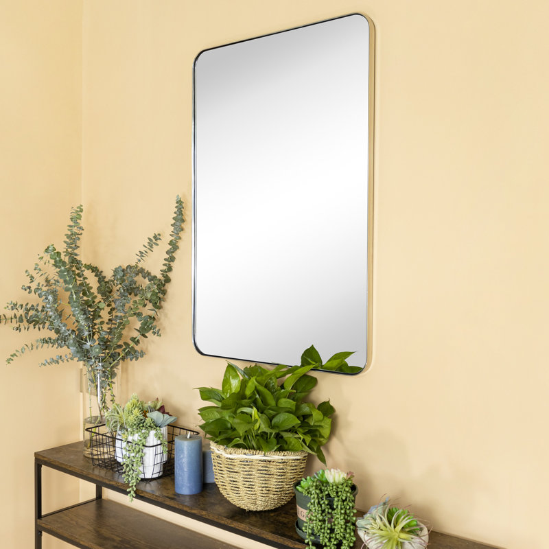 Miroir de salle de bain Javeion, Nickel brossé, 30 po x 20 po