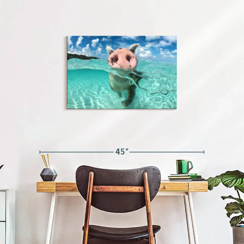 Cochon sauvage nageant Brampt