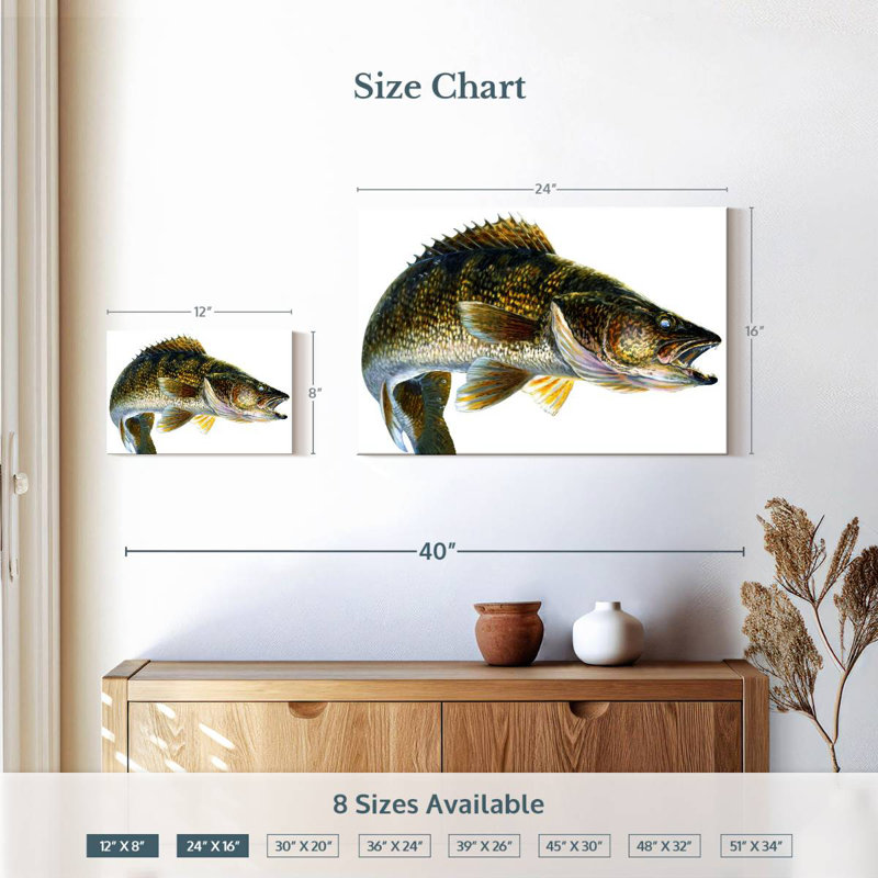 Break Line Walleye, 16" H x 24" W