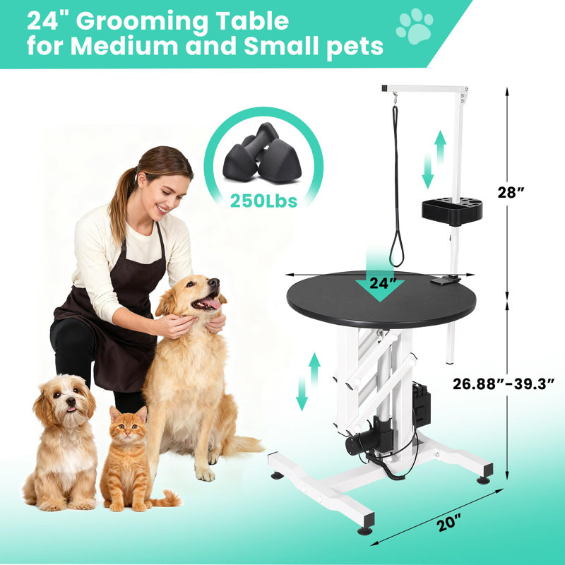 Table de toilettage électrique 24 po pour chien avec petit bras et capacité de 250 lb