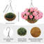 13.5cm Plant-1110944774