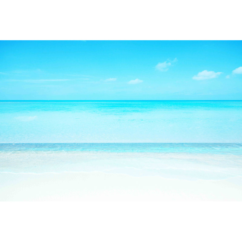 Parvez Taj - Wrapped Canvas Print, 41cm H x 61cm W x 3.8cm D