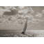 Sailing - Wrapped Canvas Print-1638632680