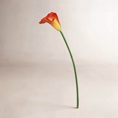 Cauldwell 26" Artificial Calla Lily Stem