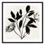 «Unafayez I» - reproduction d'art-55543538-55543539