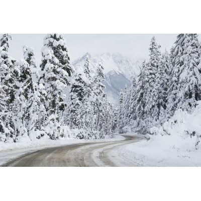 Route du mont Baker I
