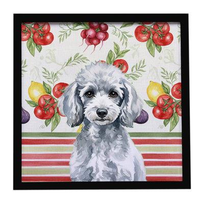 Miniature Silver Poodle Vegetables Framed Metal Print