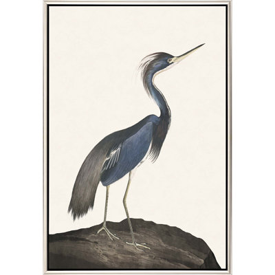 Grand héron I
