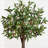Olive Double Topiary Tree