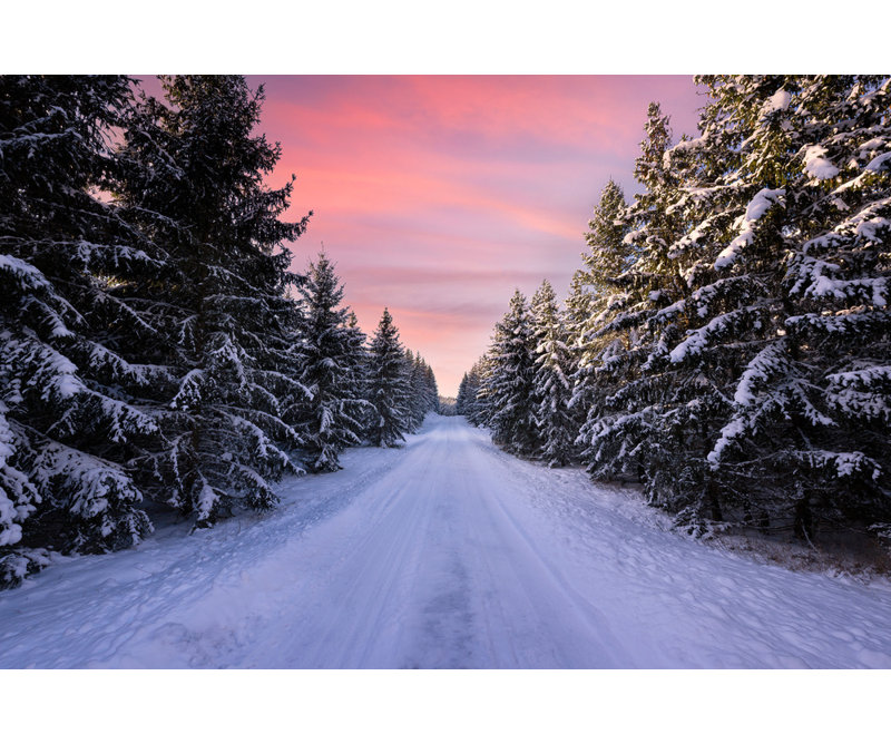 Wrapped Canvas Print, 50.8cm H x 76.2cm W