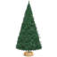Water Hyacinth Tree Collar