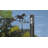 Muamir 33'' H Aluminum Animals Weathervane