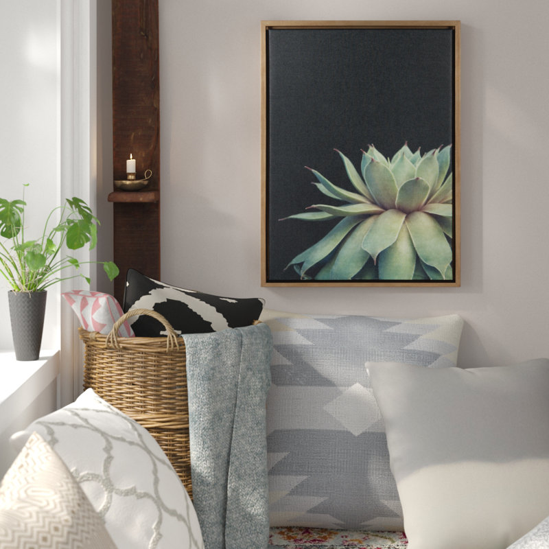 Succulent 8 by Emiko and Mark Franzen F2Images Framed Canvas Wall Art Print, 18" H x 24" W, Gold