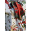 Ardmore Cotton Tablecloth-1461744635