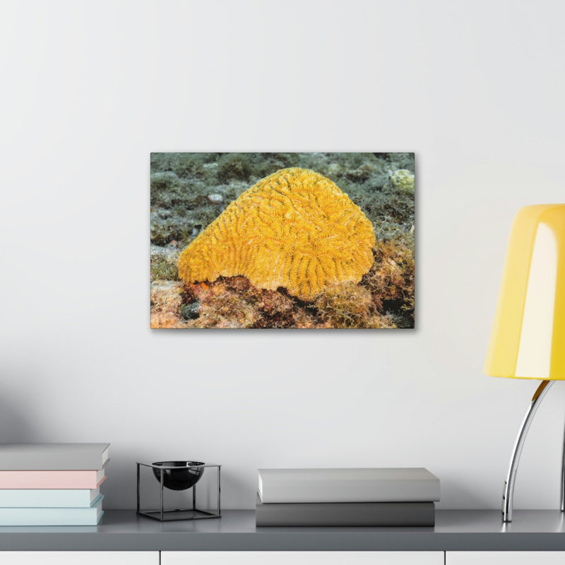 «Sponge Hunting Sponge on Hunt», reproduction d'art mural, H 12 po x l 18 po