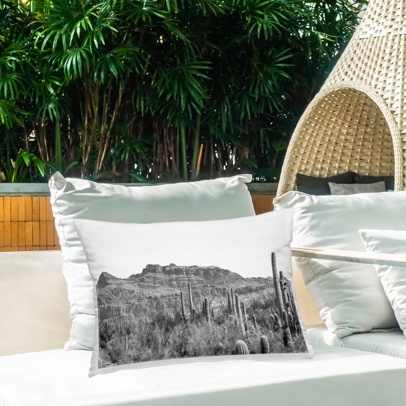 Coussin d'extérieur imprimé American Borderlands Desertscape par Nathan Larson