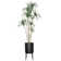 91'' Faux Dragon Tree Tree in Pot