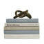 Modern Sea Glass Book Stack, S/5