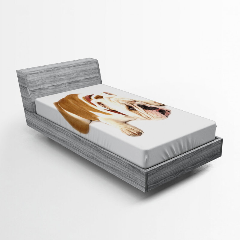 Microfiber Fitted Sheet, Twin XL Fitted Sheet