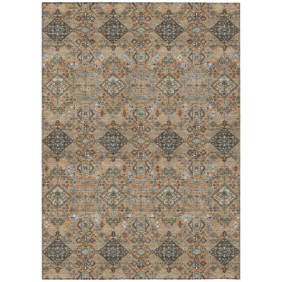 Machine Washable Indoor/Outdoor Chantille ACN2478 Global Rug