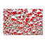 «Winter Berries in the Snow», reproduction de photo sur toile tendue-12228070