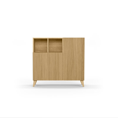 12 Pair Shoe Storage Cabinet