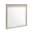 Adrianna Mirror