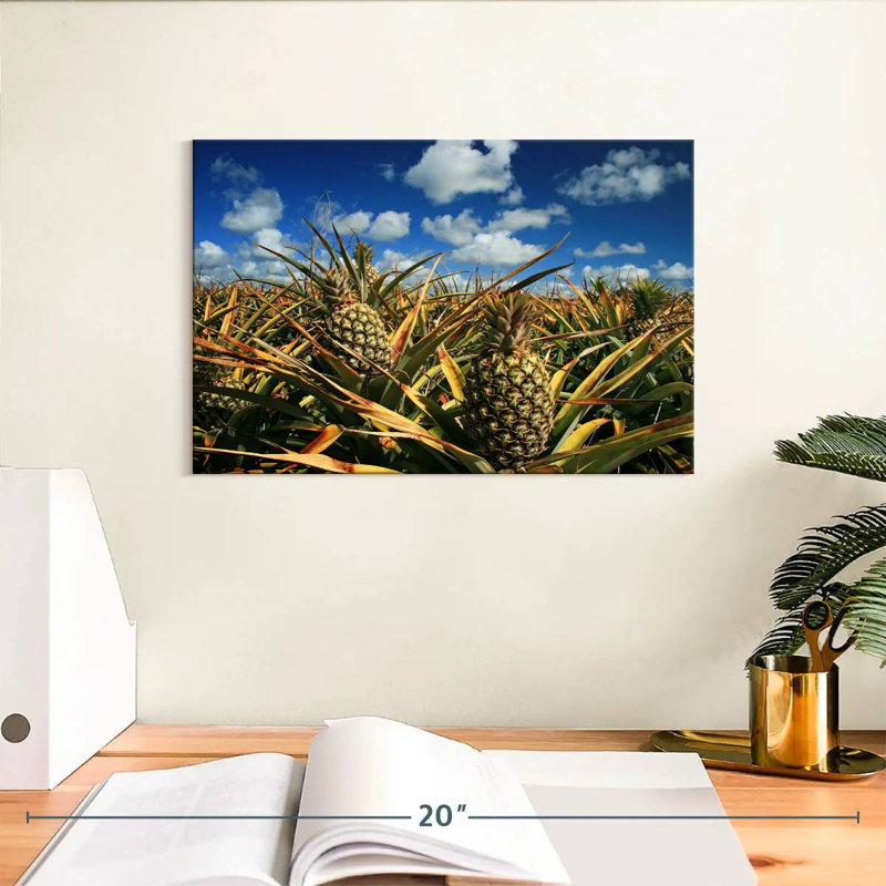 Ananas de Yarlin, Thaïlande, H 8 po x l 12 po