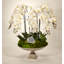Orchid and Celestite Floral Arrangement in Urn