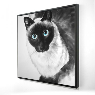 " Blue Eyes Siamese Cat "