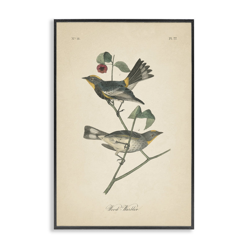 Reproduction d'art giclée encadrée par Wild Apple, Giclée encadrée noir minuit, H 30 po x l 20 po