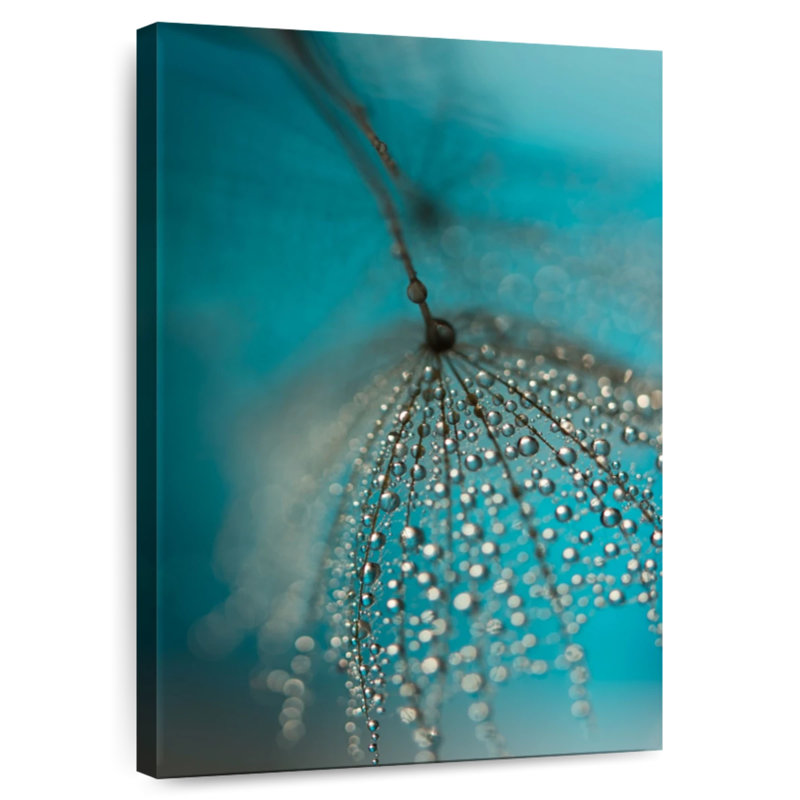 Harnek Seed And Drops, 12" H x 8" W