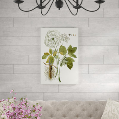 Lacy Leaves IV - Painting Print
