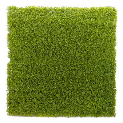 2 ft. H x 2 ft. W Polyethylene Privacy Screen by Naturae Decor