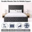 Upholstered Bed-386997714-386997713