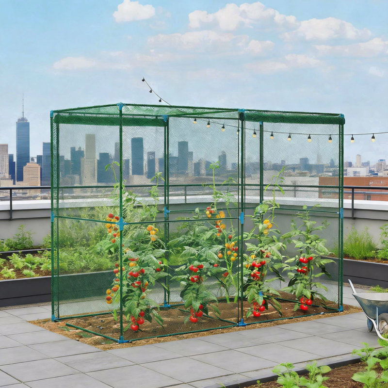 Plant Protectors,Walk-in Crop Cage