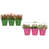 Vert pomme / rose vif