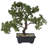 12'' Faux Tree in Pot