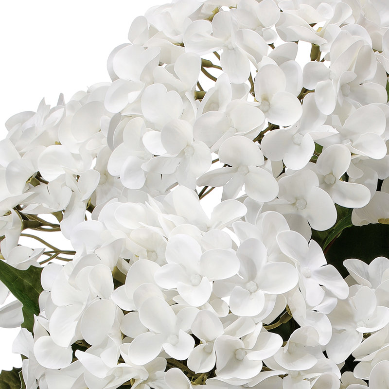 Arrangement d'hortensias, touche naturelle, Blanc