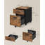 Rubianna 40cm Wide 2 -Drawer Mobile File Cabinet-105643238