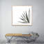 Agave I Print by Jess Engle-48615480-48615484