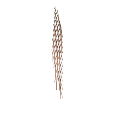 Willow Espalier Square Trellis