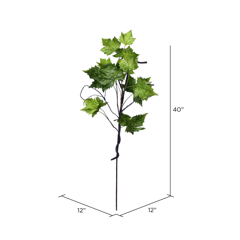 Vaporisateur Platanus, H 40 po x l 12 po x P 12 po